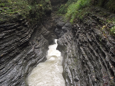 DSCF1311.JPG