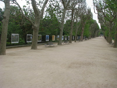 IMG_4495.JPG