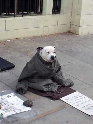 20130428_140120.jpg