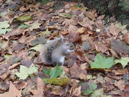 DSCF6088.JPG