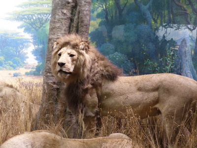 P1010281.JPG