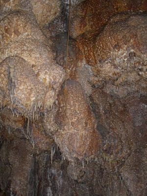 החלק הרטוב של Jewel Cave