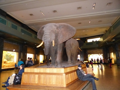 P1010278.JPG