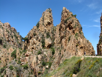IMG_7933.JPG