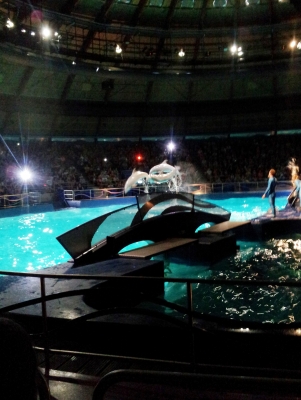 20130709_123009.jpg