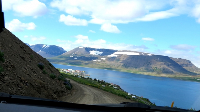 IMG_0510 (Large).JPG
