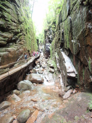 Flume Gorge