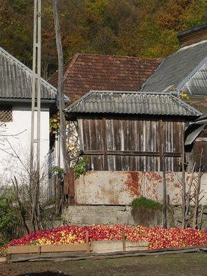 DSCN6148.JPG