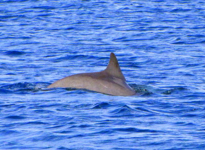 IMG_6760.JPG