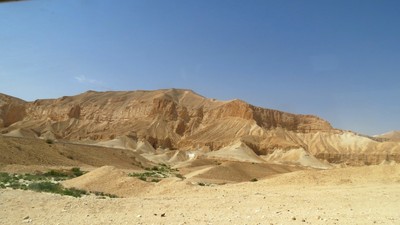 IMG_0698 (Large).JPG