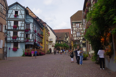 IMGP3790.JPG