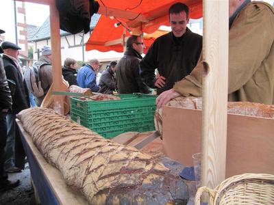 IMG_6261 (Large).JPG