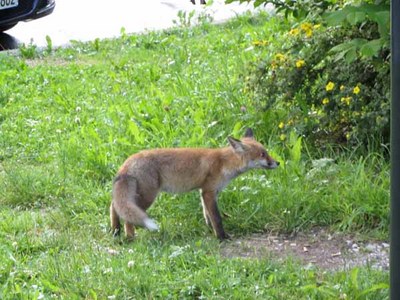 IMG_2319.JPG