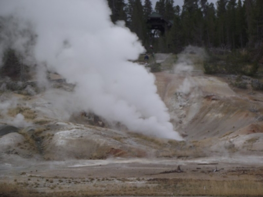 DSCF0770.jpg