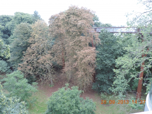 DSCN0649.JPG
