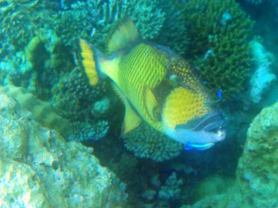 100_0564.JPG
