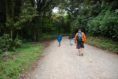 MONTEVERDE2