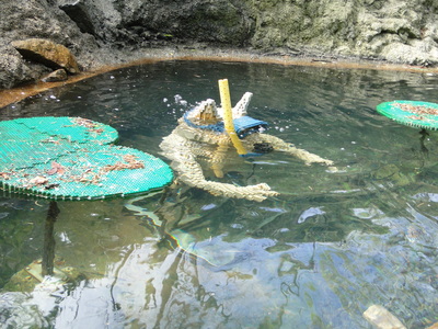 legoland