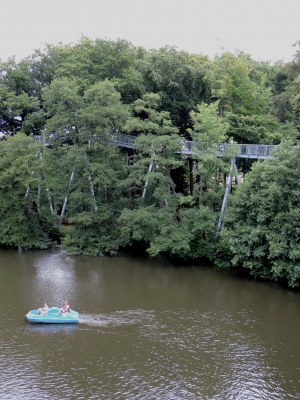 Treetop Trail מסלול טיול בגובה העצים