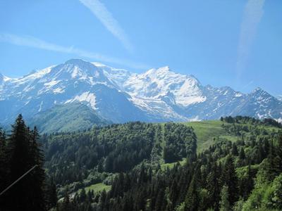 IMG_0220.JPG