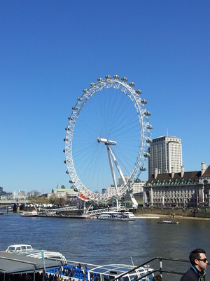20130501_135656.jpg
