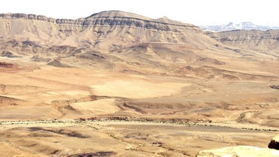 IMG_0465 (Large).JPG
