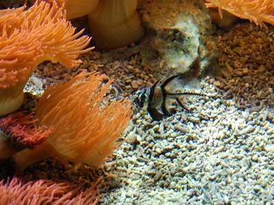 schonbrunn_zoo_vienna_074193.jpg