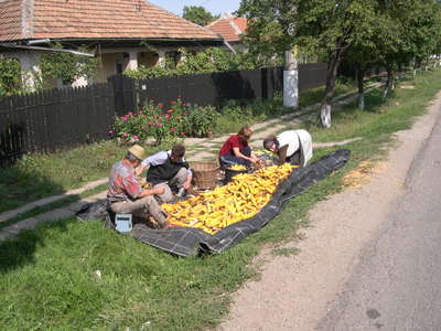 DSCN0088.JPG