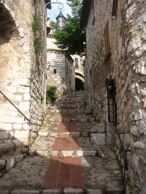 IMG_8525.JPG