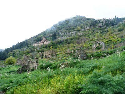 Mistras