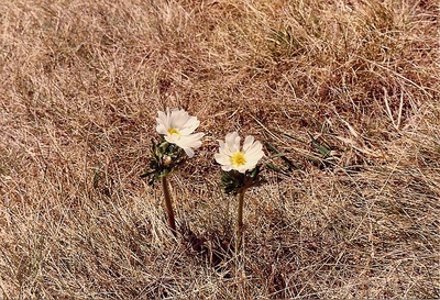 scan0031.jpg