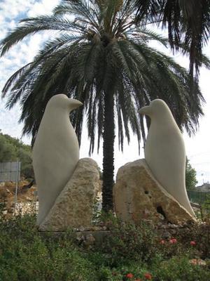 היונים של חרובי בכניסה לפקיעין