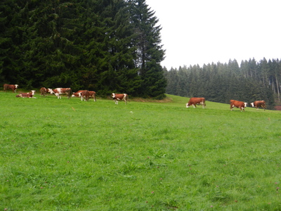 DSCN2233.JPG