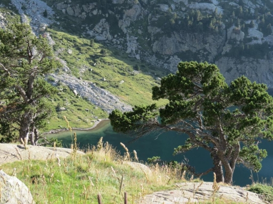 Estany Negre