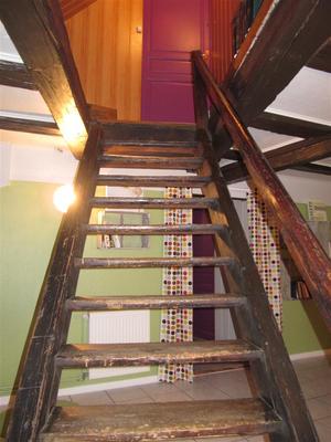 IMG_6058 (Large).JPG