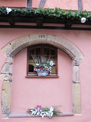 IMG_5968 (Large).JPG