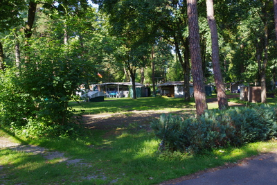 IMGP2571.JPG