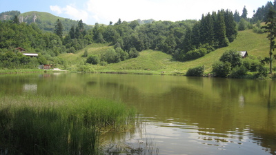 IMG_5960.JPG