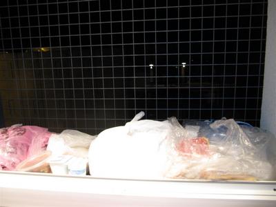 IMG_6385 (Large).JPG