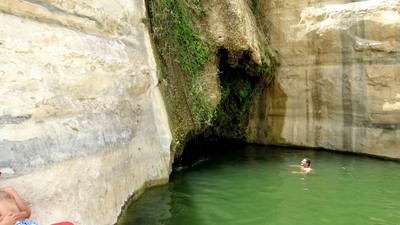 IMG_0844 (Large).JPG