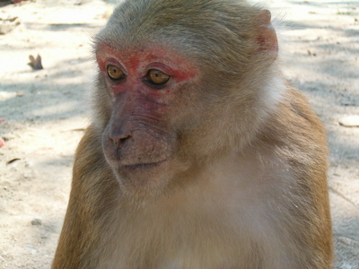 HPIM1275.JPG