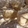 תמונת הפרופיל של free_yam