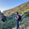 תמונת פרופיל של דנה_טל