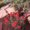 תמונת הפרופיל של מריה עודד רביד