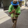 תמונת הפרופיל של תימנה קליין