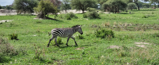 עמי בורג Africa4u טיול לאפריקה בהתאמה אישית מתוך הטיפ של inbarlif - למטייל
