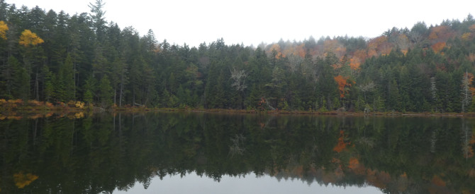 Rocky Gorge Scenic Area מתוך הטיפ של mazbat - למטייל