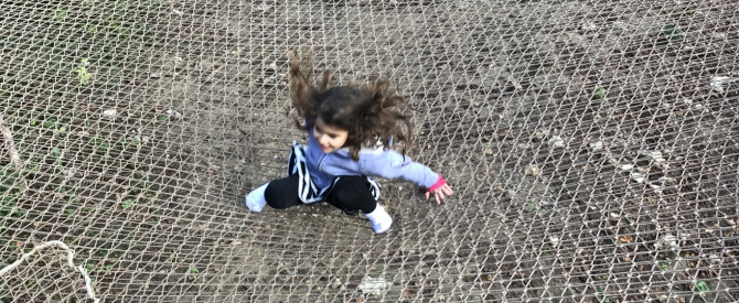 פארק הרפתקאות דורבוי מתוך הטיפ של dafiko - למטייל