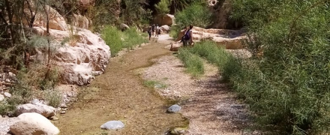 ראפאת טייסיר מתוך הטיפ של אייל אלטויל - למטייל