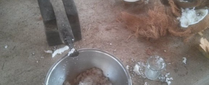 אכסנית בוהול קוקו פארם הוטל מתוך הטיפ של איתן112 - למטייל